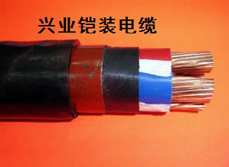興業(yè)鎧裝電纜 興業(yè)鎧裝電纜
